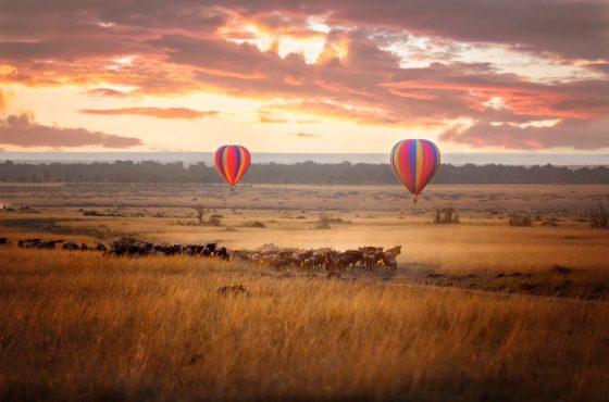 4 Days Explore Masai Mara Luxury Safari