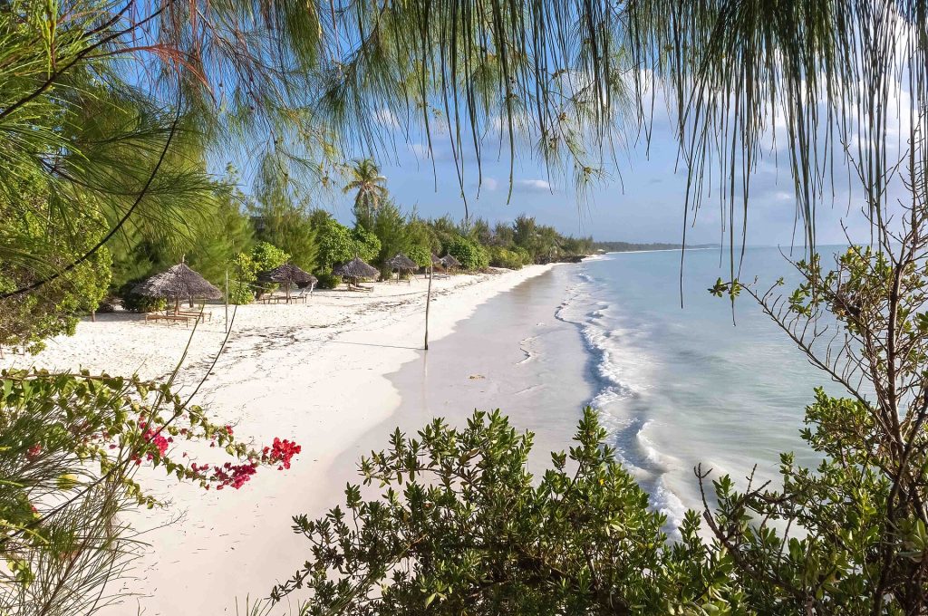 15 Days Kenya, Tanzania Wildlife Safari & Zanzibar Beach
