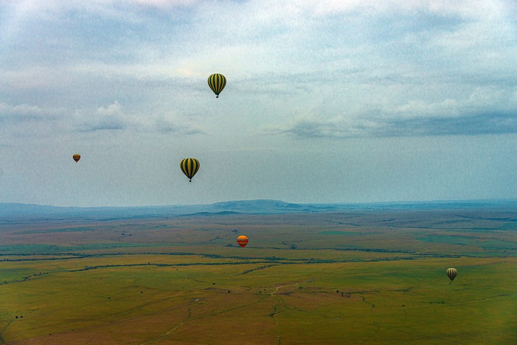 3 Day Masai Mara Jambo Lodge Safari safari view 4