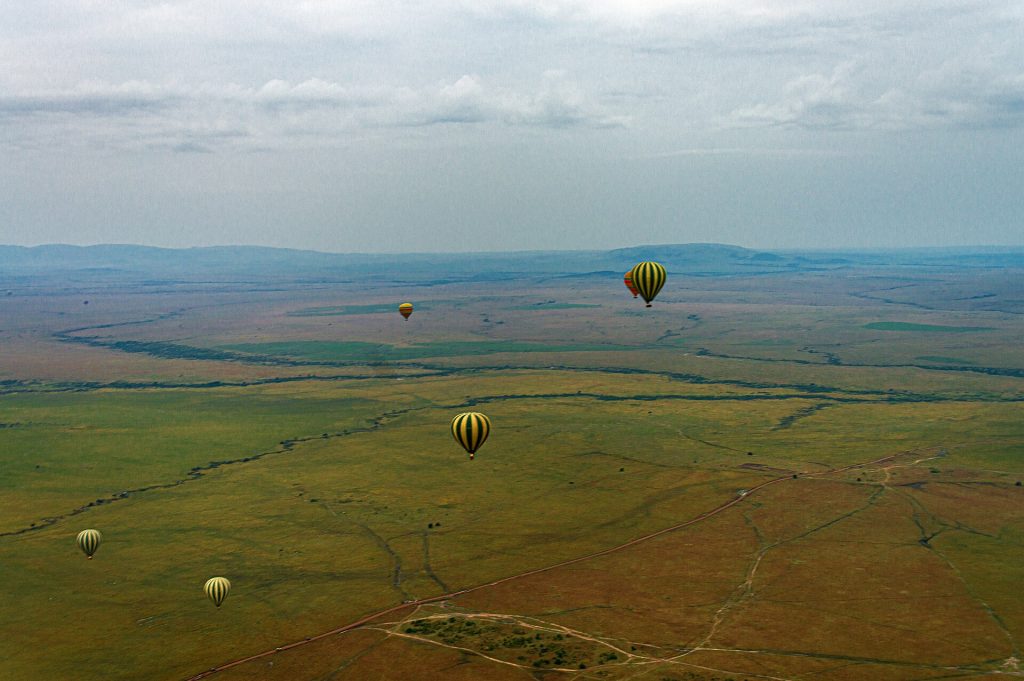 7 Days Kenya Air Safari: Amboseli, Samburu & Masai Mara safari view 3