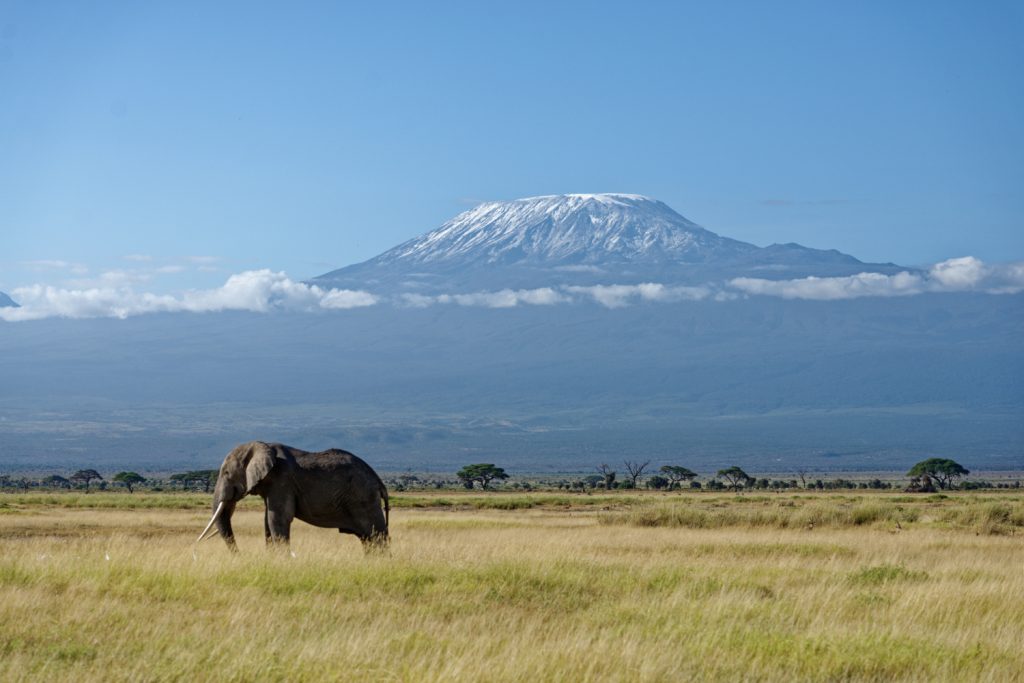 8 Days Amboseli, Lake Naivasha, Nakuru & Masai Mara Luxury Safari safari view 2