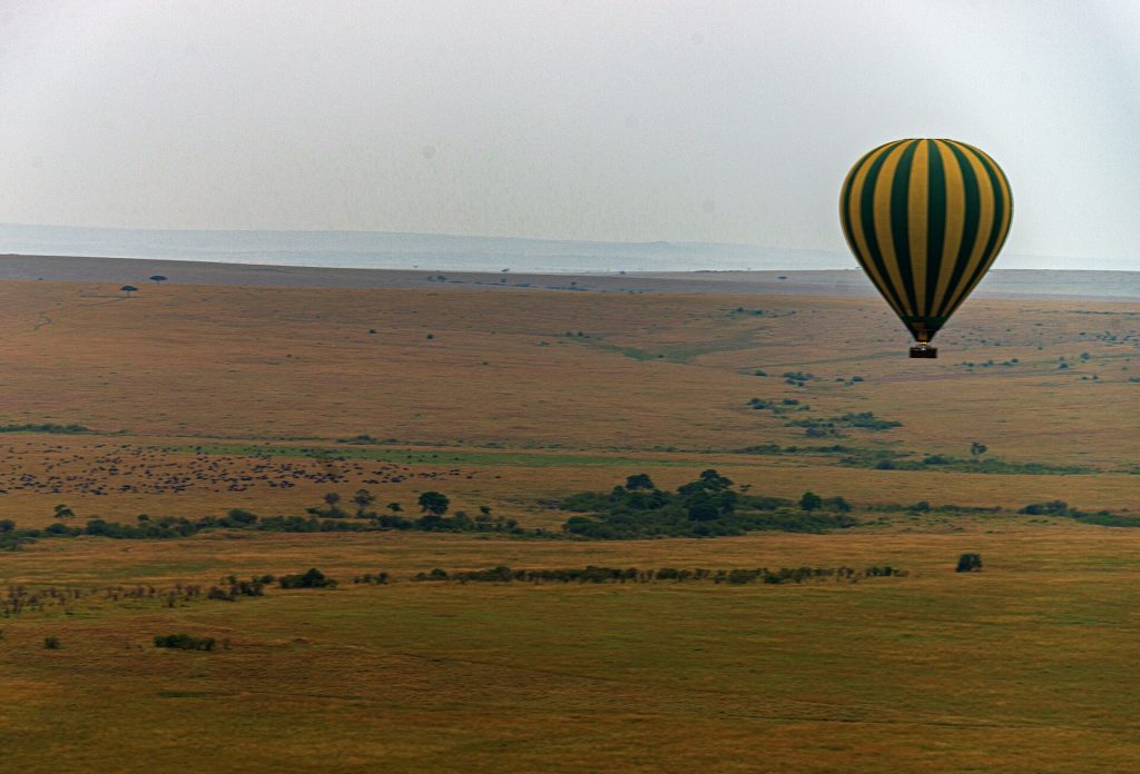 8 Days Amboseli, Lake Naivasha, Nakuru & Masai Mara Luxury Safari safari view 4