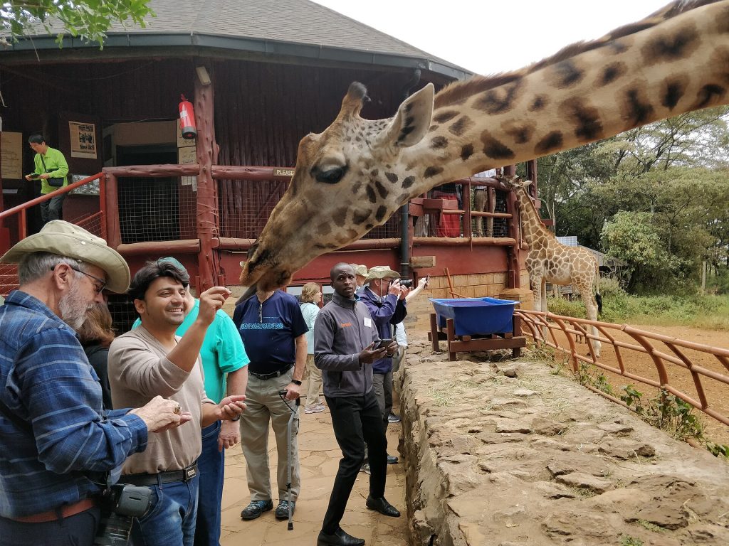 David Sheldrick Elephant Orphanage & Giraffe Center Day Tour safari view 4