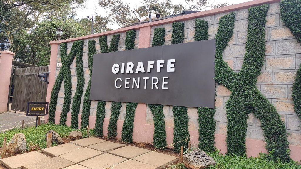 Karen Blixen Museum & Giraffe Centre Nairobi Tour safari view 2