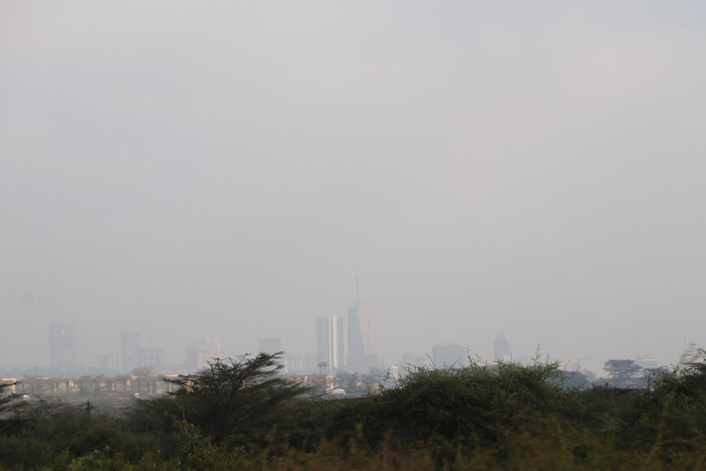Nairobi National Park Day Tour safari view 4