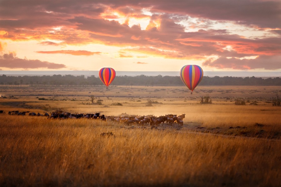 4 Days Explore Masai Mara Luxury Safari