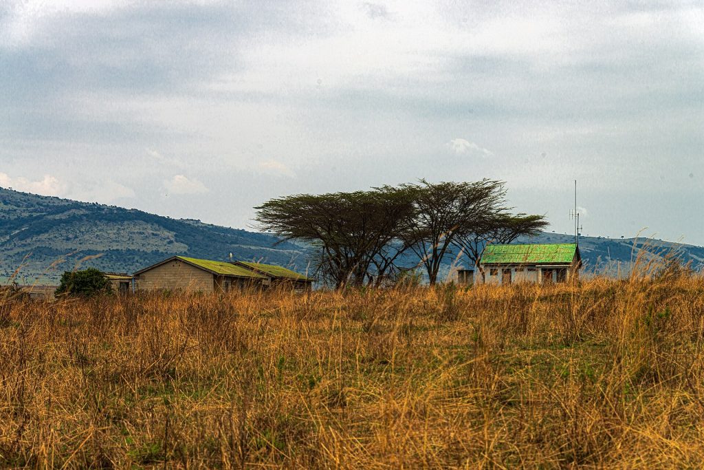 10 Days Best of Kenya & Tanzania Lodge Safari