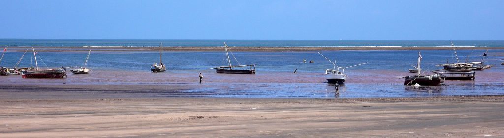10 Days Bush & Beach Vacation: Aberdares, Ol Pejeta, Naivasha, Amboseli, Taita Hills & Malindi Beach safari view 3
