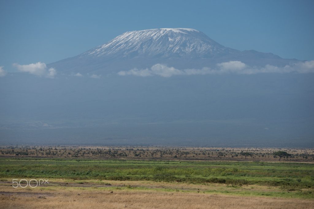 10 Days Bush & Beach Vacation: Aberdares, Ol Pejeta, Naivasha, Amboseli, Taita Hills & Malindi Beach safari view 2