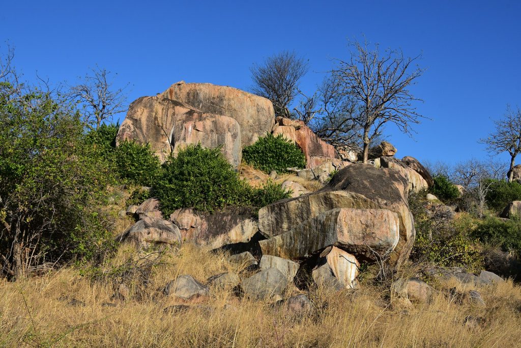 10 Days Tanzania Wildlife Safari & Zanzibar Beach Holiday