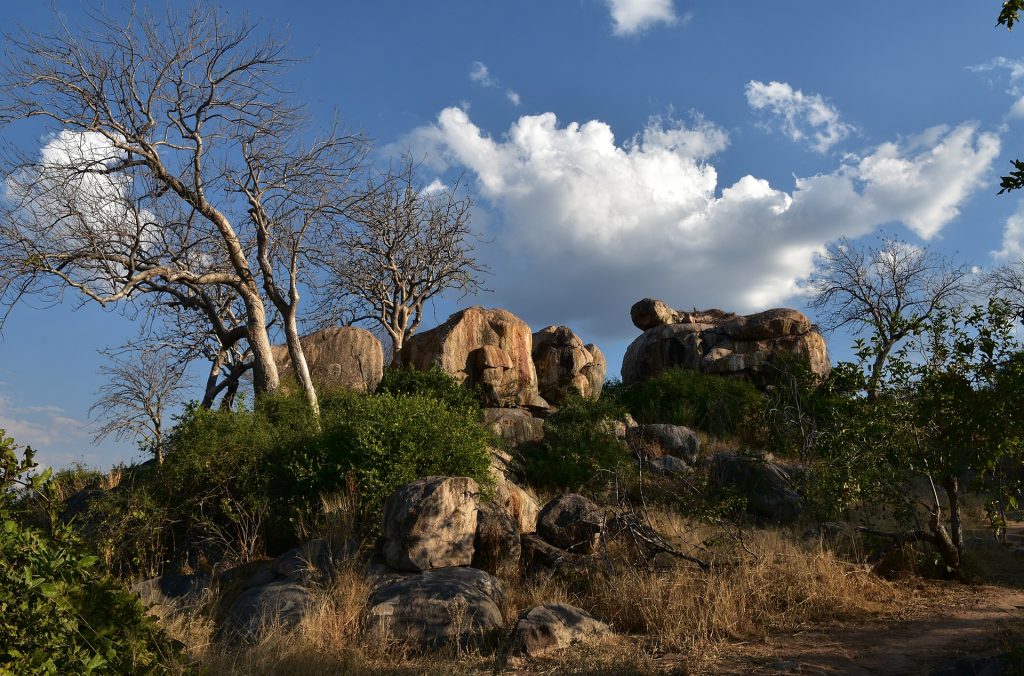 11 Days Kenya & Tanzania Budget Camping Safari Adventure safari view 3