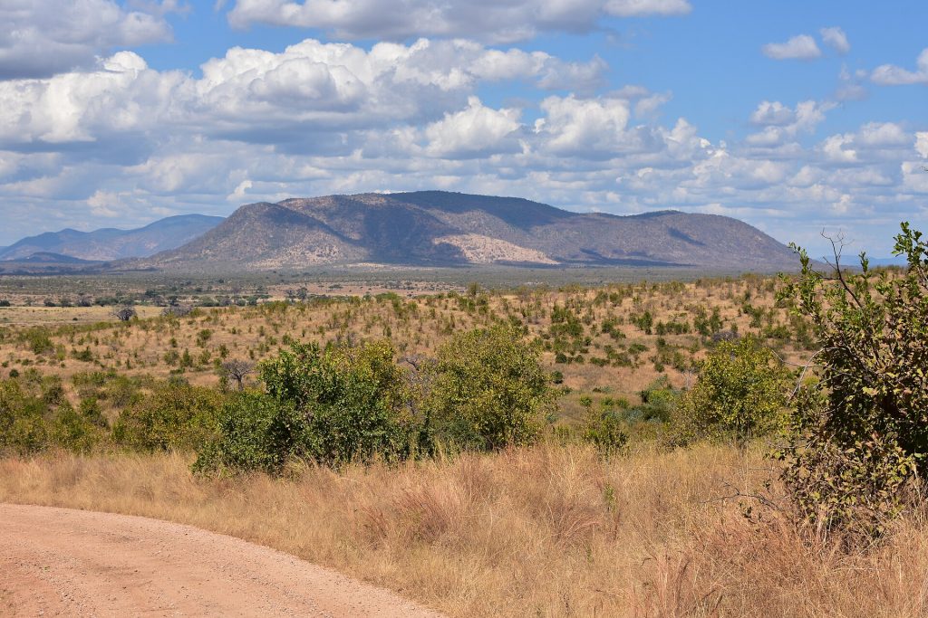 11 Days Kenya & Tanzania Budget Camping Safari Adventure safari view 2