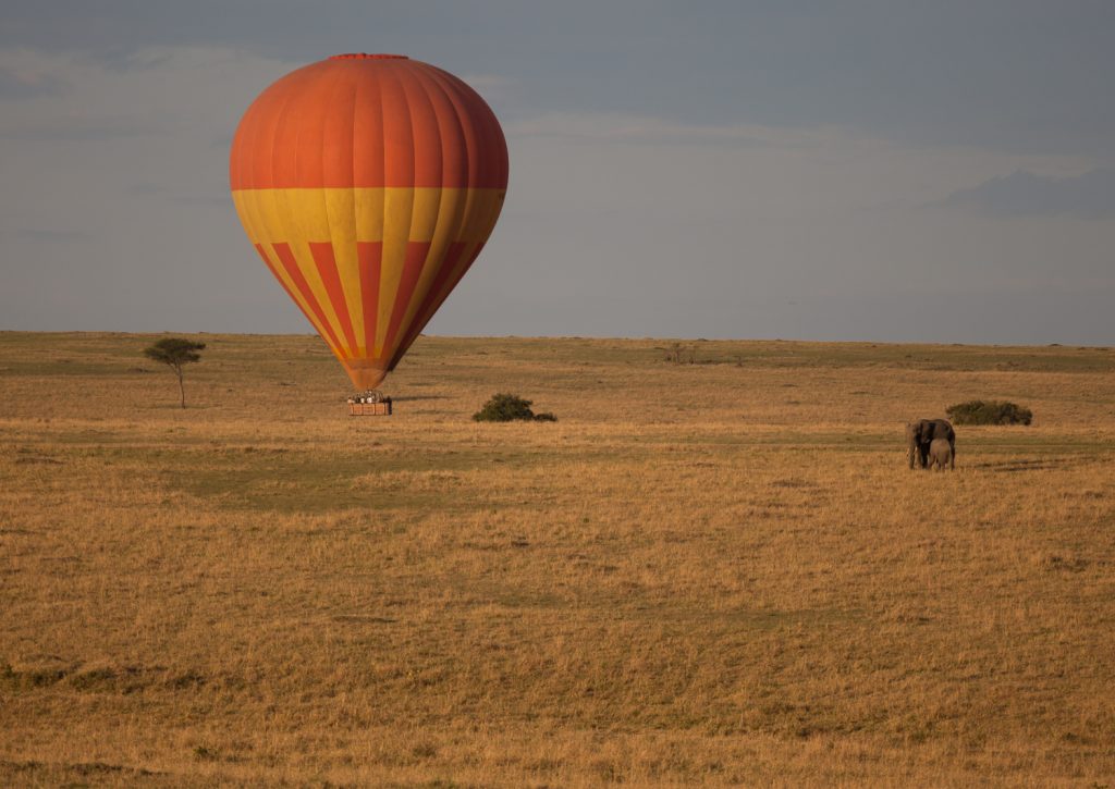 12 Days Kenya Wildlife Safari & Beach Romantic Honeymoon safari view 3
