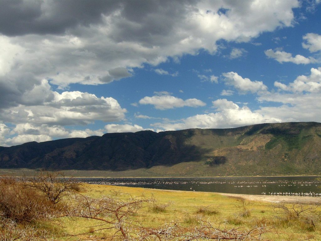 13 Days Kenya Bird Watching Safari safari view 2