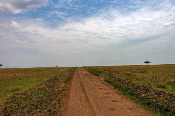 15 Days Highlights of Kenya: Wildlife Safari & Mombasa Beach