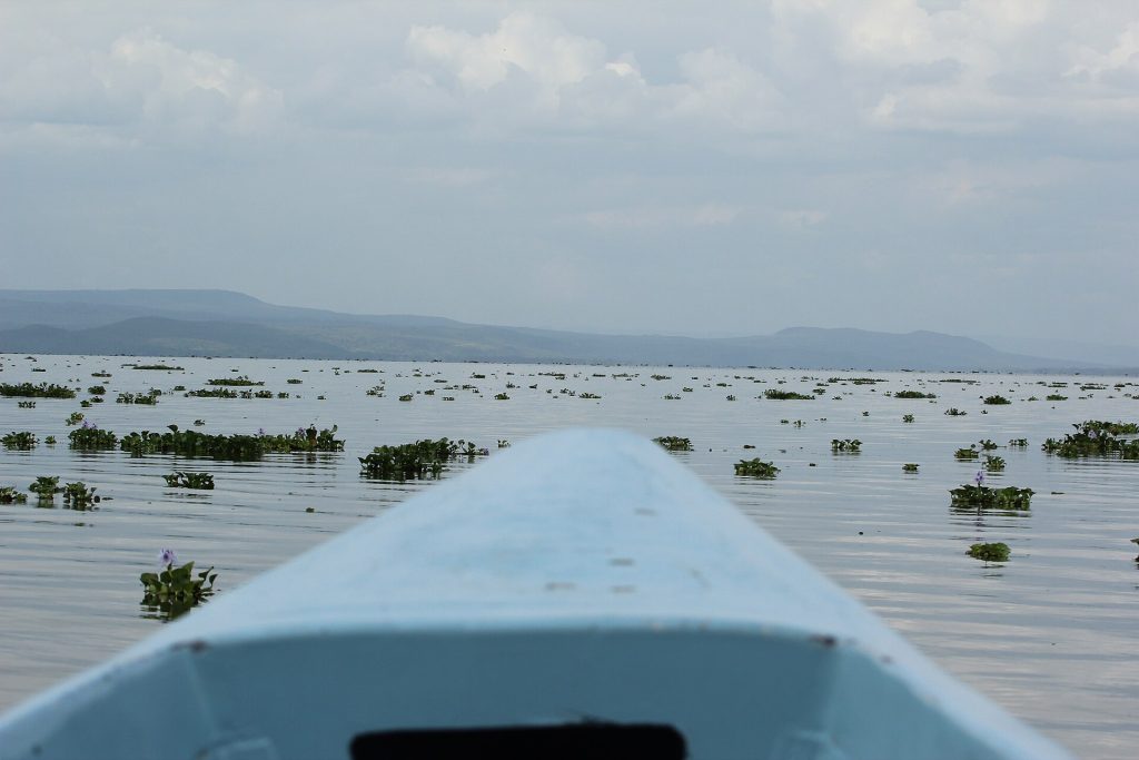 15 Days Highlights of Kenya: Wildlife Safari & Mombasa Beach safari view 2