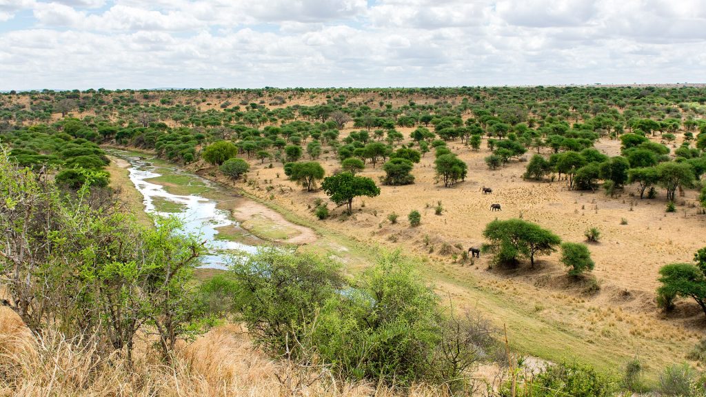 15 Days Kenya, Tanzania Wildlife Safari & Zanzibar Beach safari view 3