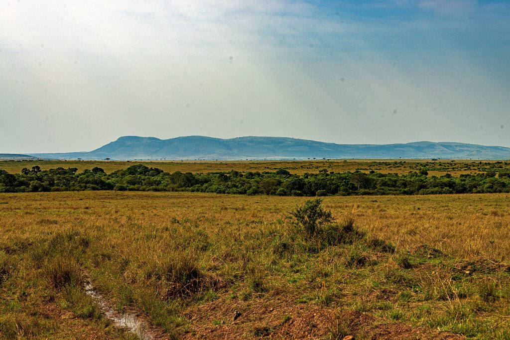 16 Days Kenya, Tanzania Safari & Mt. Kilimanjaro Climbing safari view 3