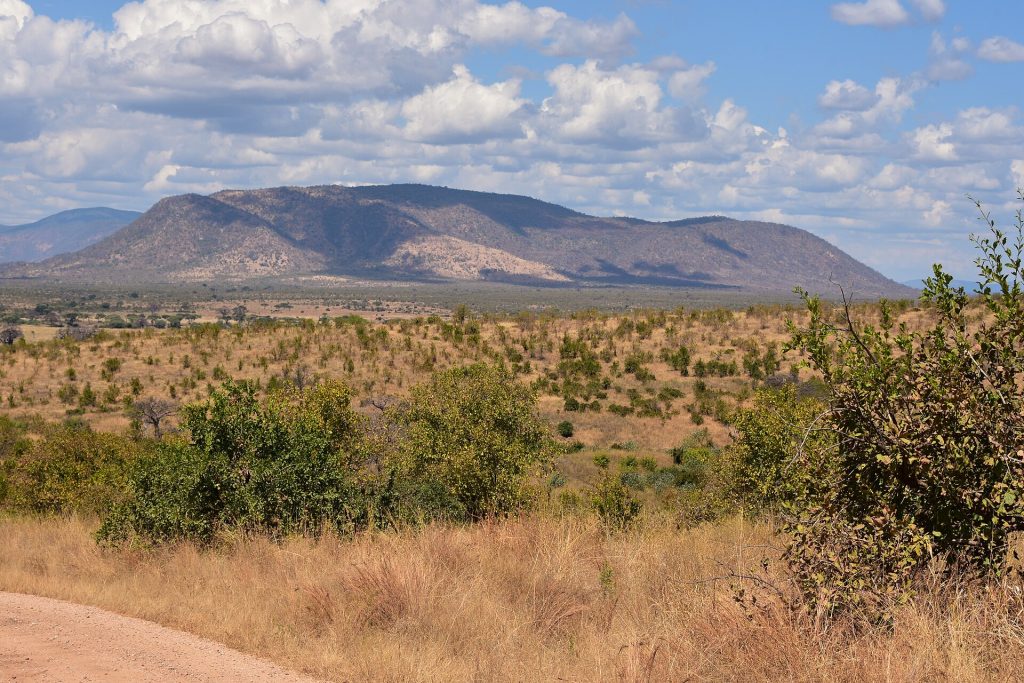 16 Days Kenya, Tanzania Safari & Mt. Kilimanjaro Climbing safari view 2