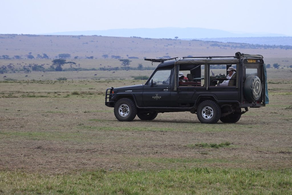 2 Days, 1 Night Masai Mara Air Safari safari view 2
