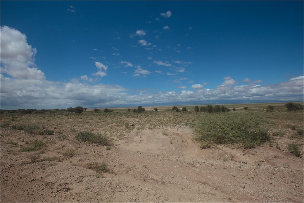 3 Days Amboseli National Park Flying Safari safari view 3