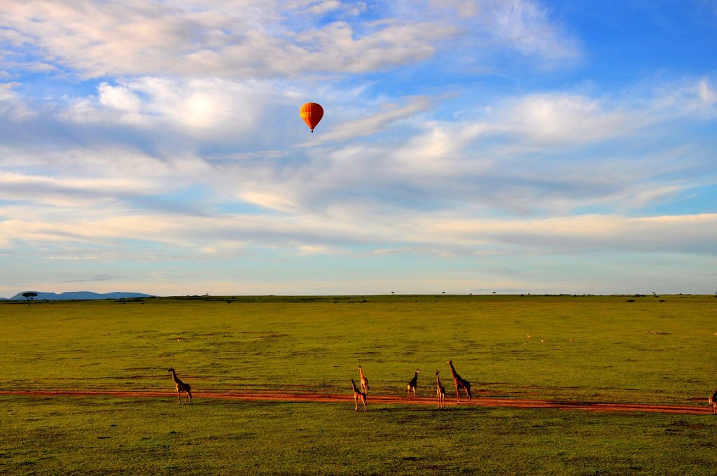 3 Days Masai Mara National Reserve Air Safari safari view 3