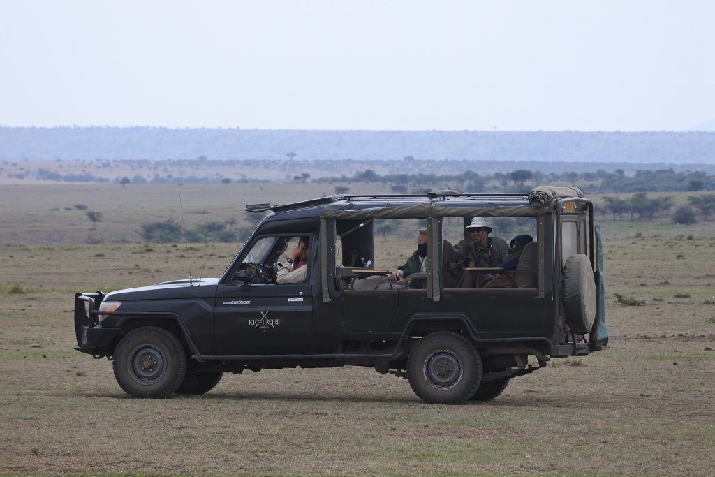 3 Days Masai Mara National Reserve Air Safari safari view 2