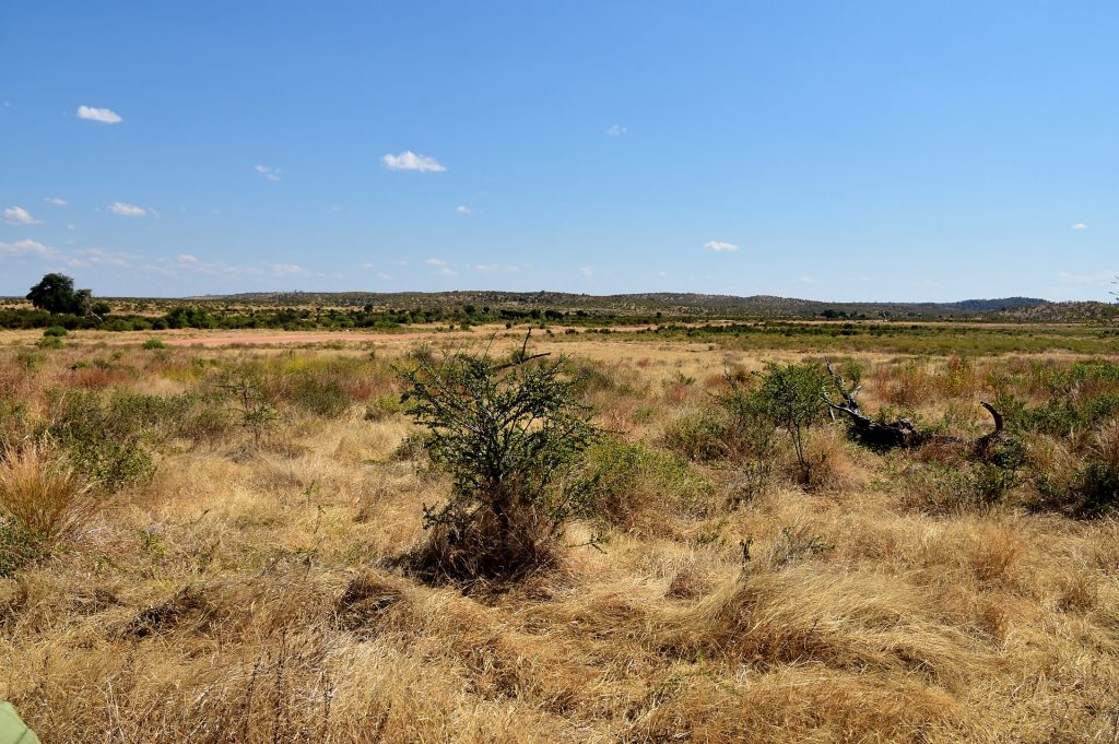 3 Days Ngorongoro Crater Tanzania Safari safari view 2