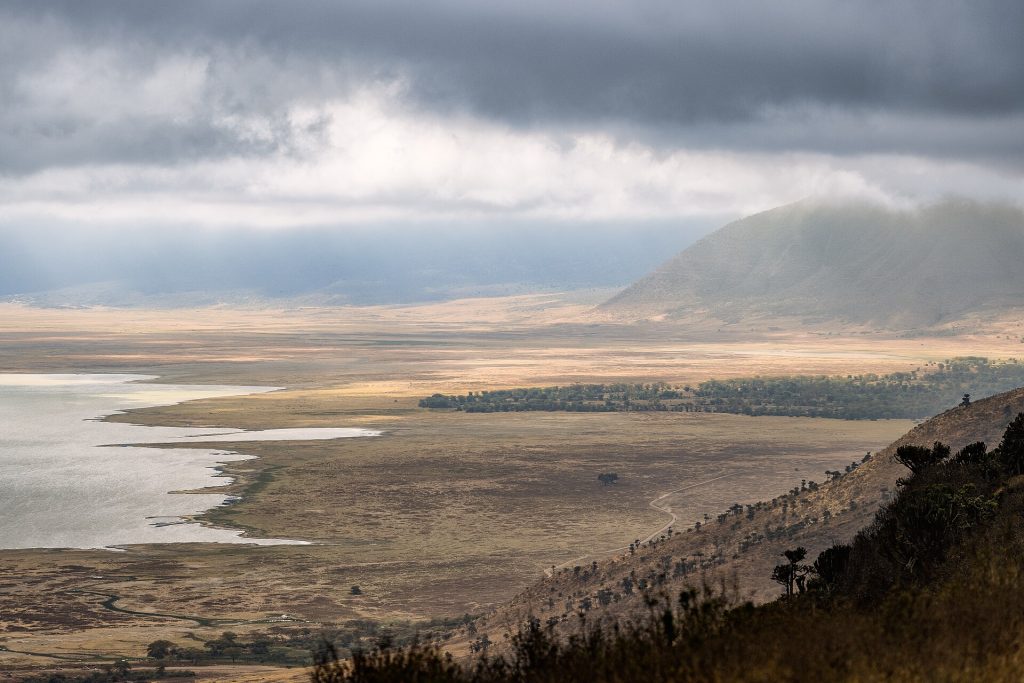 3 Days Tarangire National Park & Ngorongoro Safari safari view 4