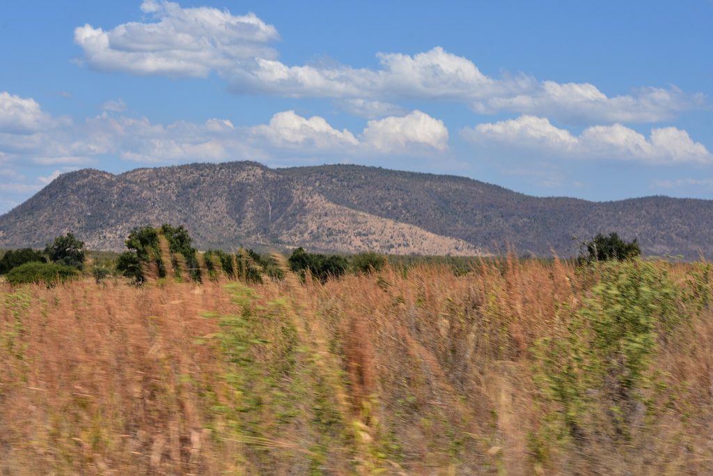 3 Days Tarangire National Park & Ngorongoro Safari safari view 3