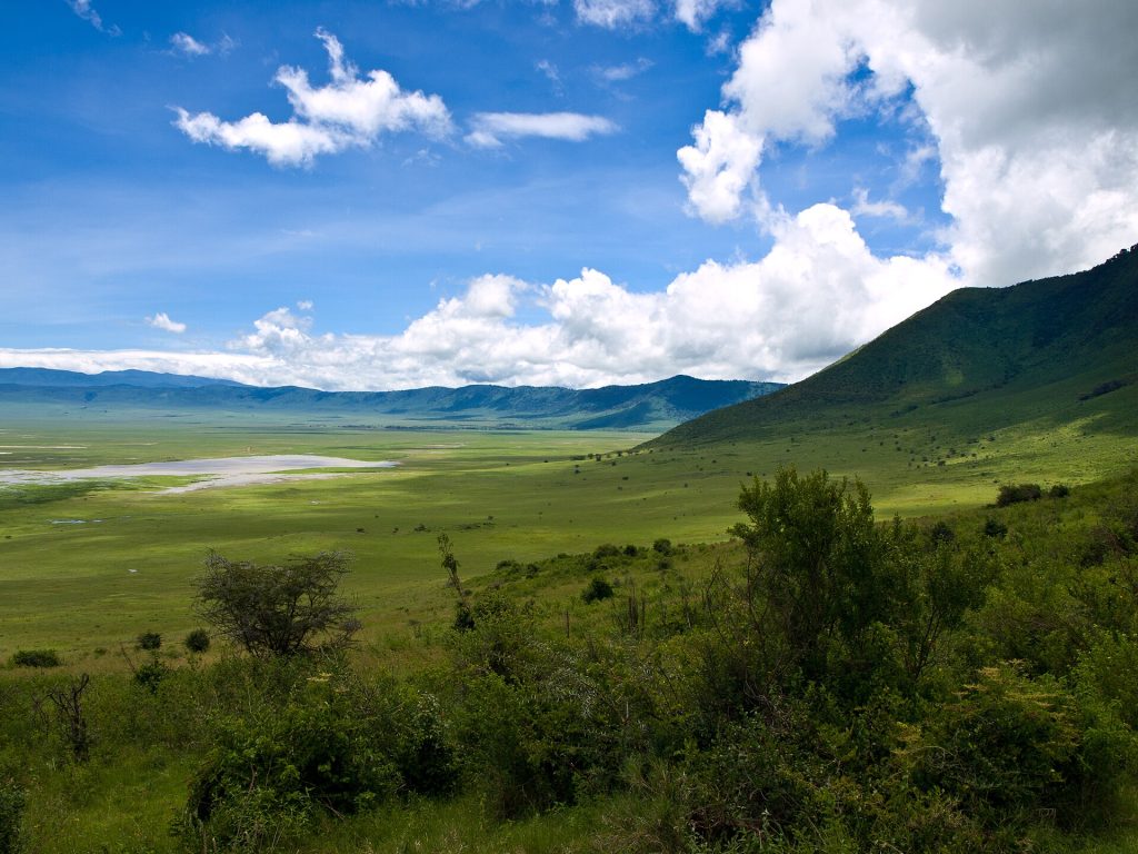 4 Days Serengeti National Park & Ngorongoro Safari safari view 2