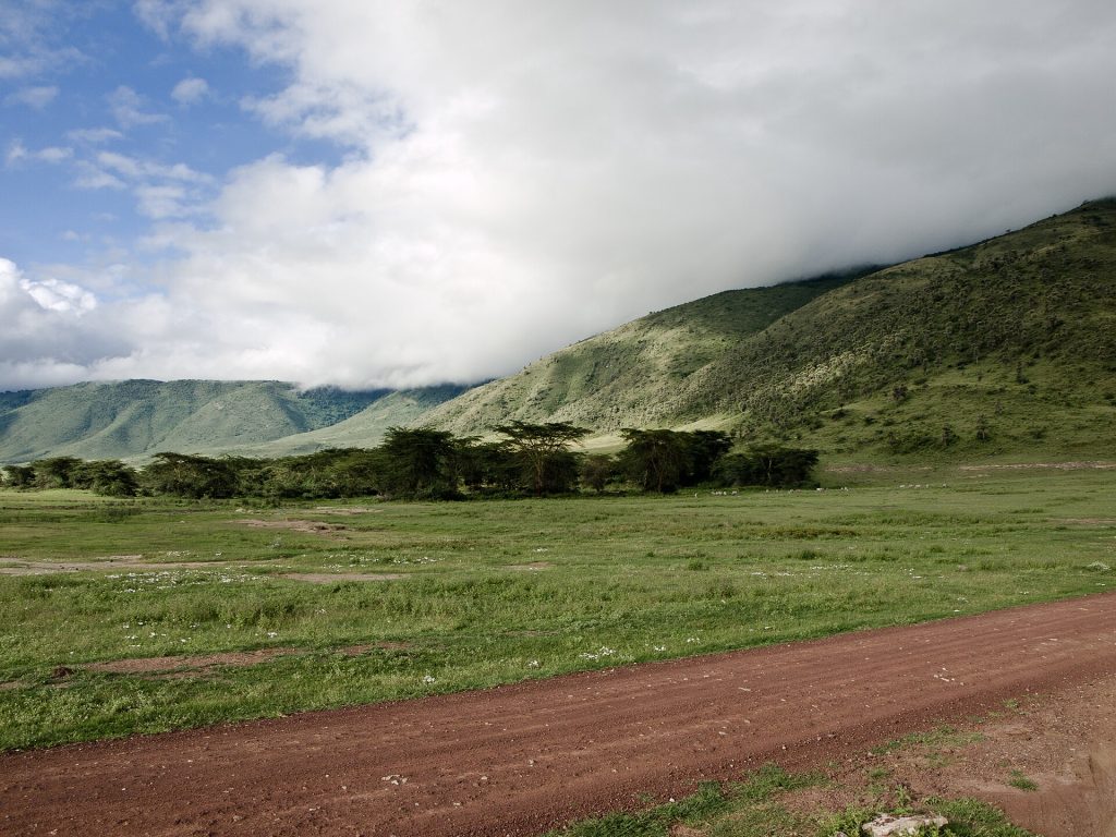5 Days Lake Manyara, Ngorongoro & Serengeti Safari safari view 2