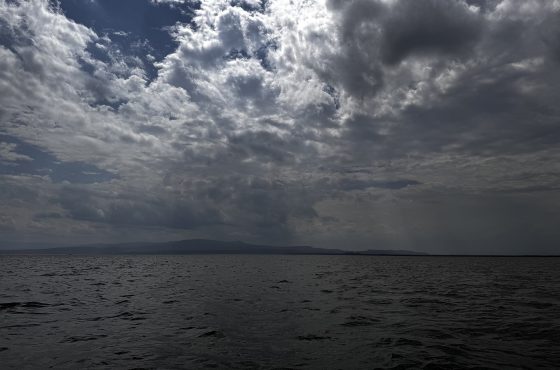 5 Days Masai Mara, Lake Nakuru & Naivasha Lodge Safari