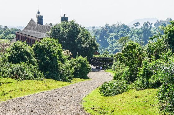 5 Days Samburu, Ol-Pejeta & Aberdares Lodge Safari