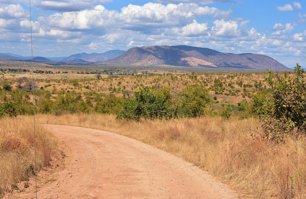 6 Days Masai Mara, Serengeti & Ngorongoro Migration Safari (Copy) safari view 4