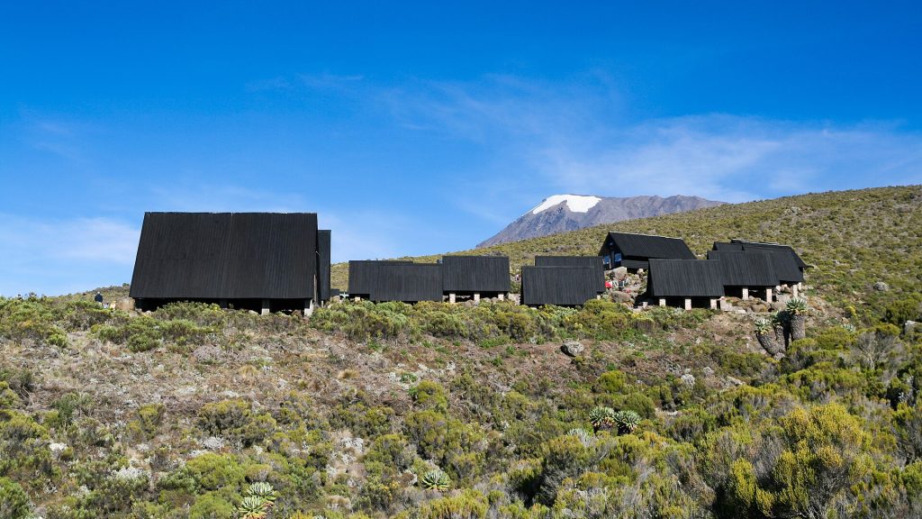 6 Days Mt Kilimanjaro Climbing: Marangu Route safari view 3