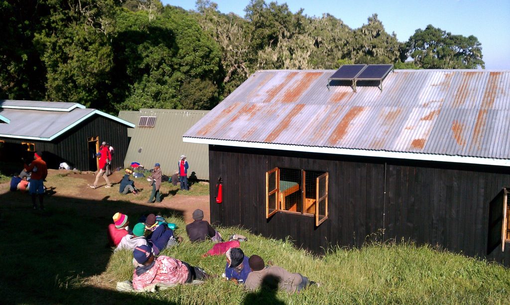 6 Days Mt Kilimanjaro Climbing: Marangu Route safari view 2