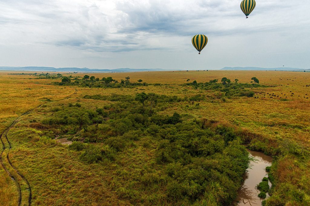 7 Days Kenya Bush Honeymoon: Masai Mara, Lake Nakuru, Naivasha & Nairobi