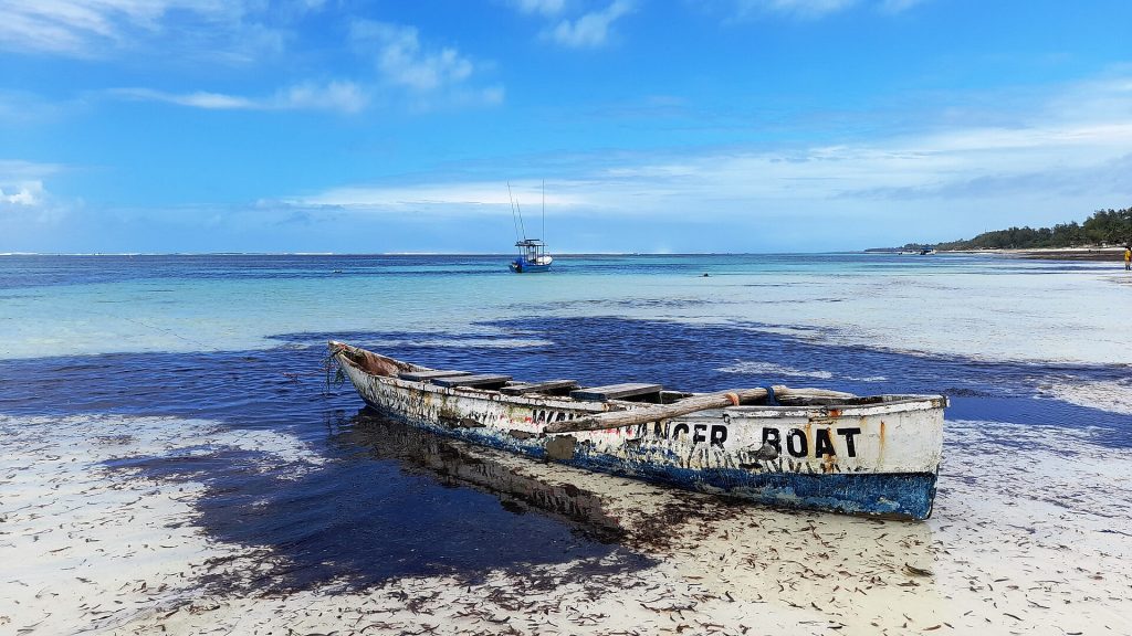 8 Days Amboseli, Tsavo West & Tsavo East Safari & Diani Beach Experience safari view 3