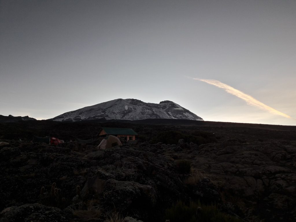 8 Days Mt Kilimanjaro Climbing: Lemosho Route safari view 4