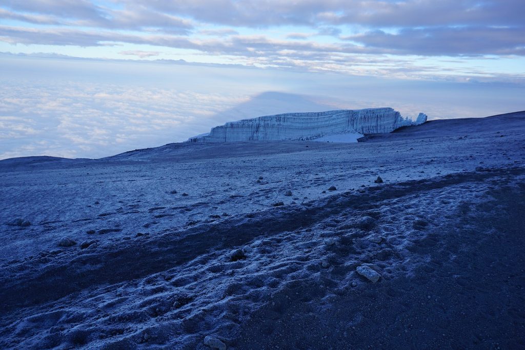 8 Days Mt. Kilimanjaro Trekking & Climbing: Machame Route safari view 4