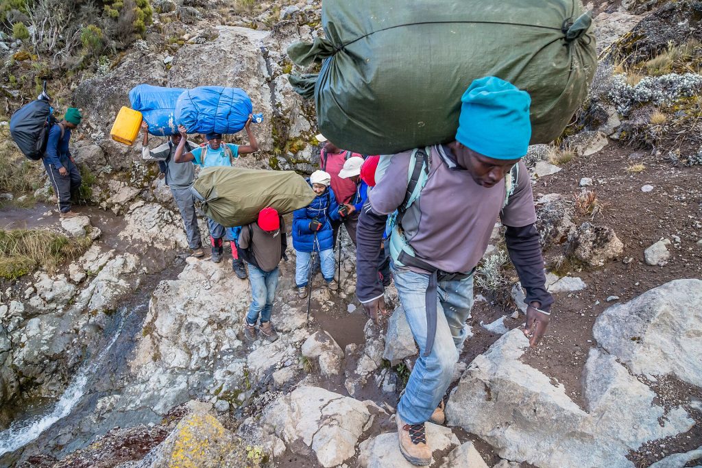 8 Days Mt. Kilimanjaro Trekking & Climbing: Machame Route safari view 2