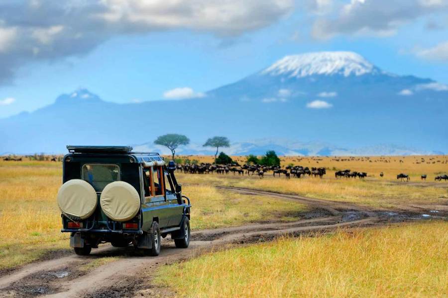 8 Days Amboseli, Lake Naivasha, Nakuru & Masai Mara Luxury Safari
