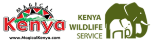 Mara Enkopang Safaris