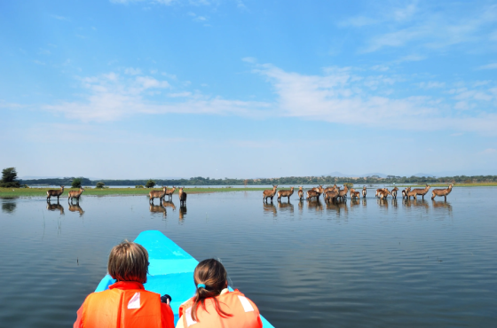 4 Days Masai Mara, Lake Naivasha & Hells Gate Budget Safari