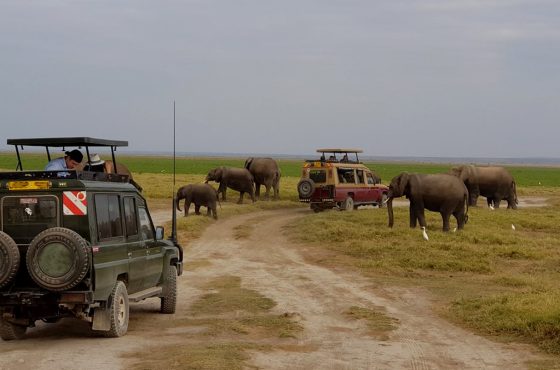 3 Days, 2 Nights Amboseli National Park Luxury Safari