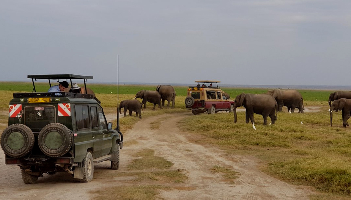 3 Days, 2 Nights Amboseli National Park Luxury Safari