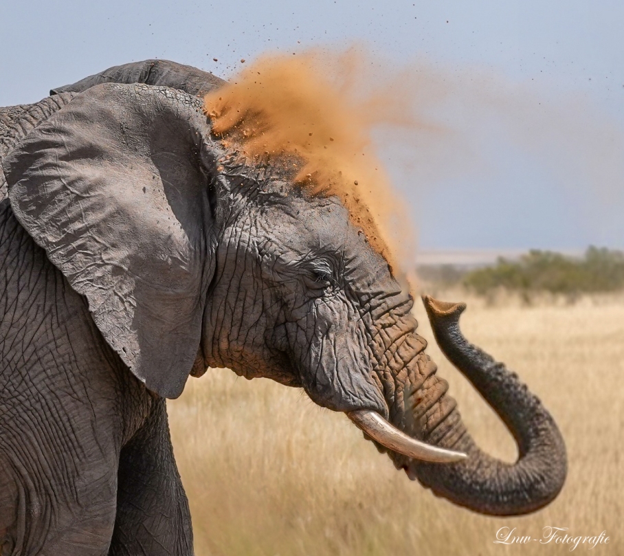 7-Day Kenya Wildlife Photography Safari: Amboseli, Lake Nakuru & Masai Mara safari view 2